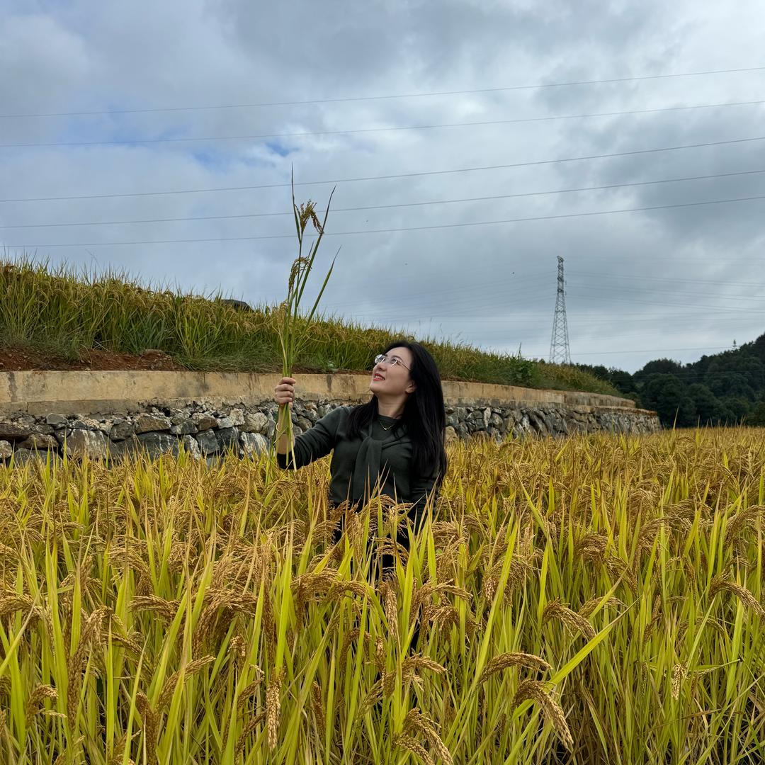 开心团团可爱团团