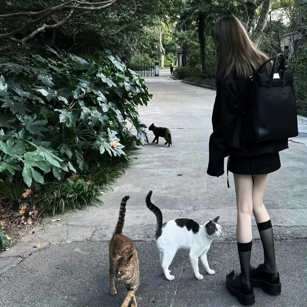 柊.
