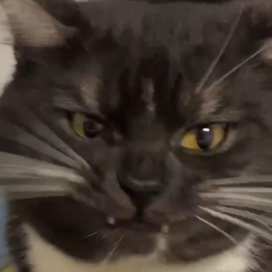 宇卉的游戏日常