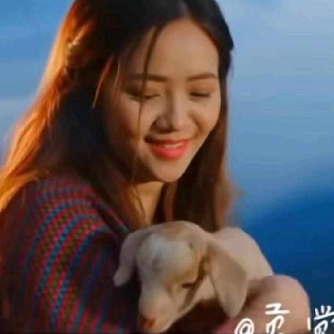 西绕德庆🥤