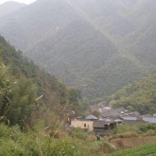 河南农民老张家的土鸡蛋