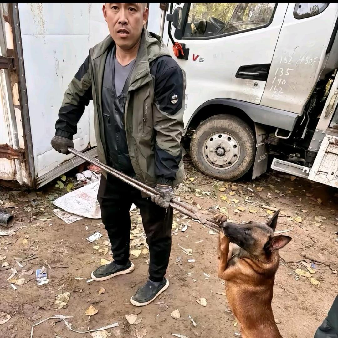 AAA专业套狗陈师傅