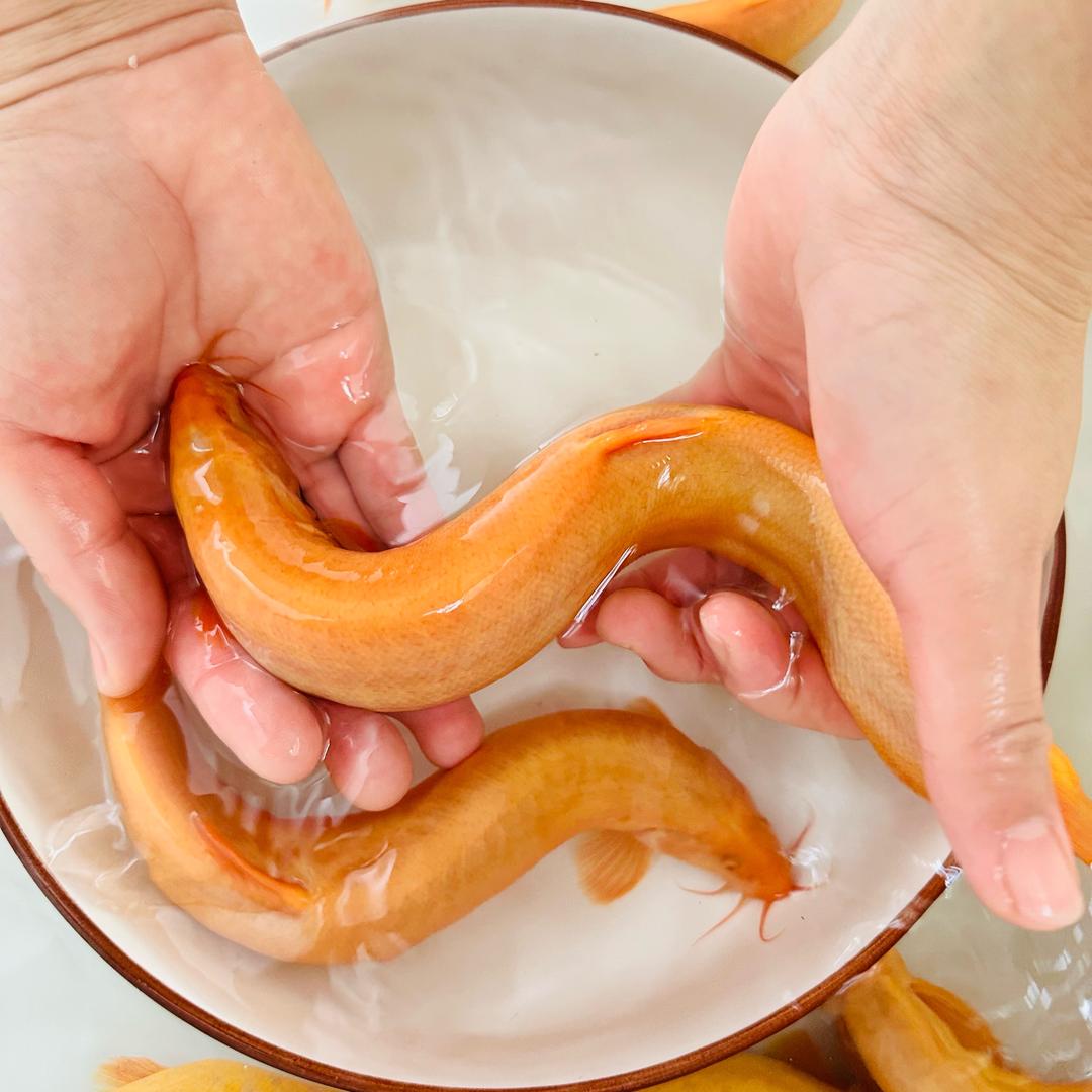 连云港泥鳅基地