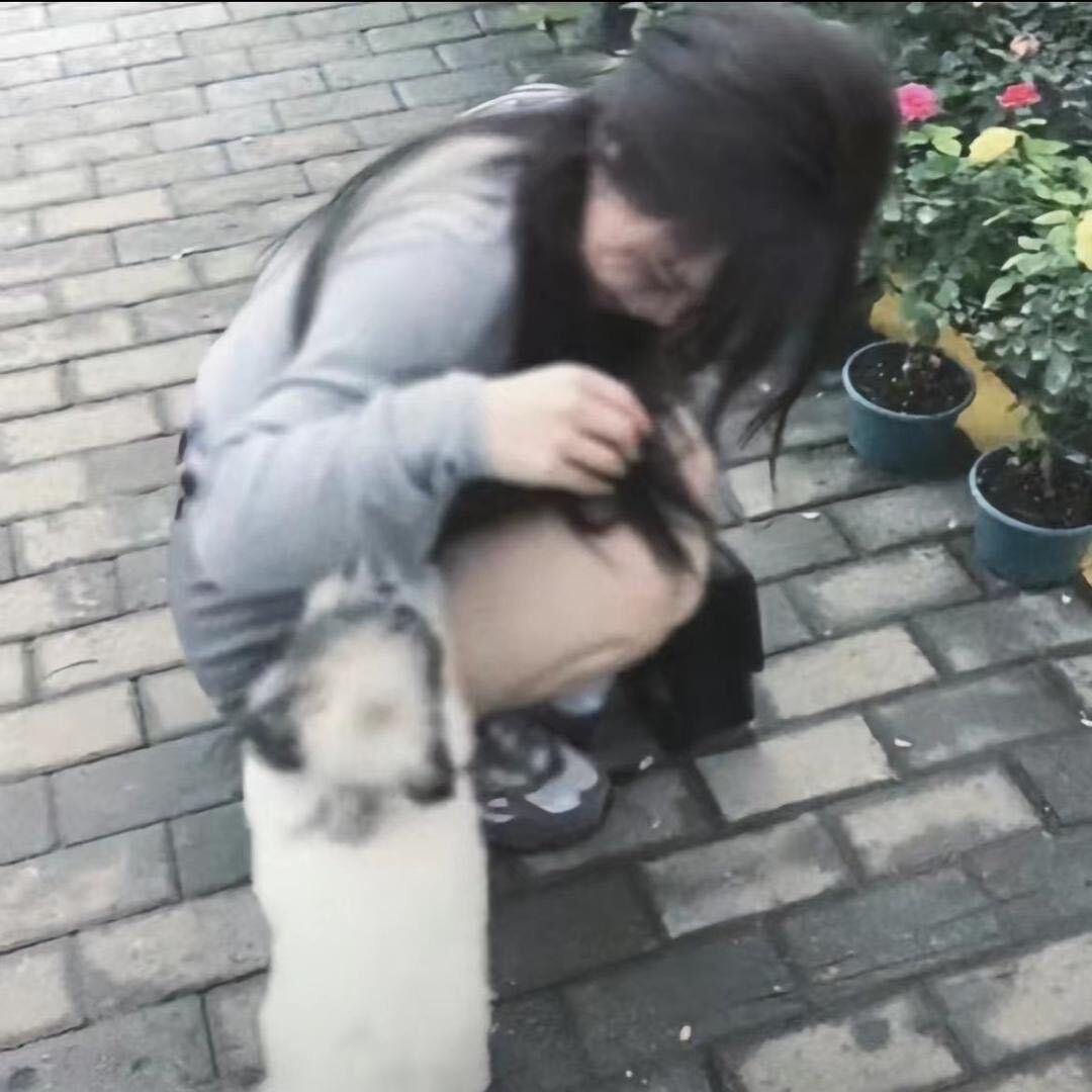 小蘑菇^