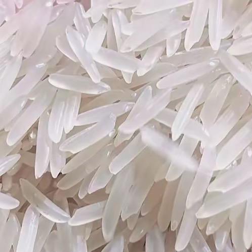 长粒香丝米