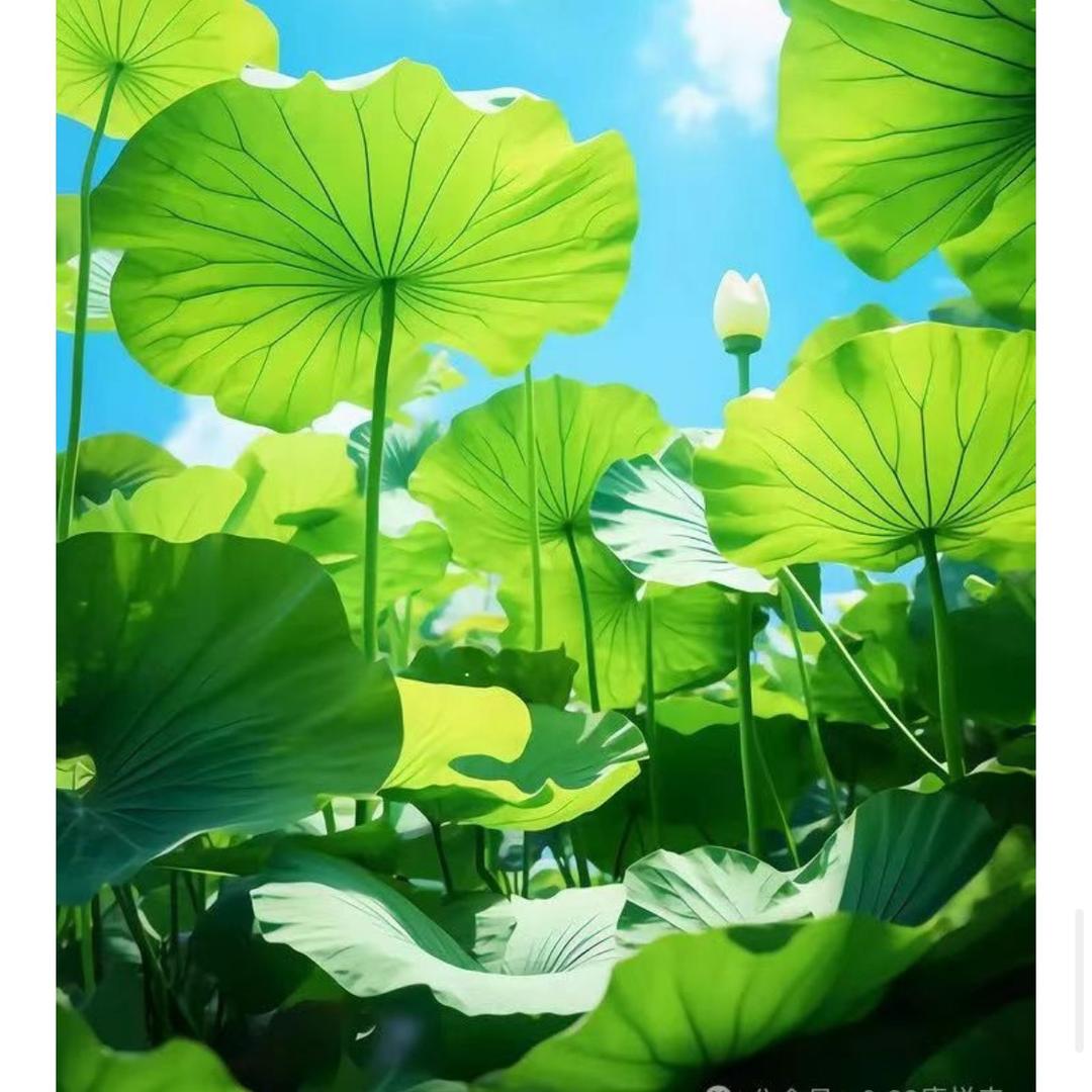玫玫生活记录