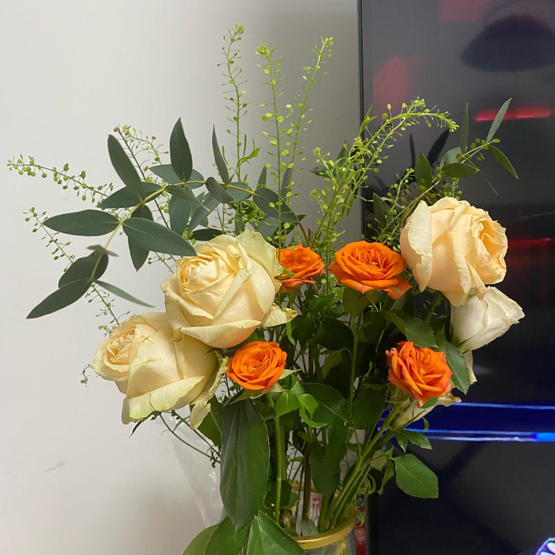 生活不止眼前的枸杞