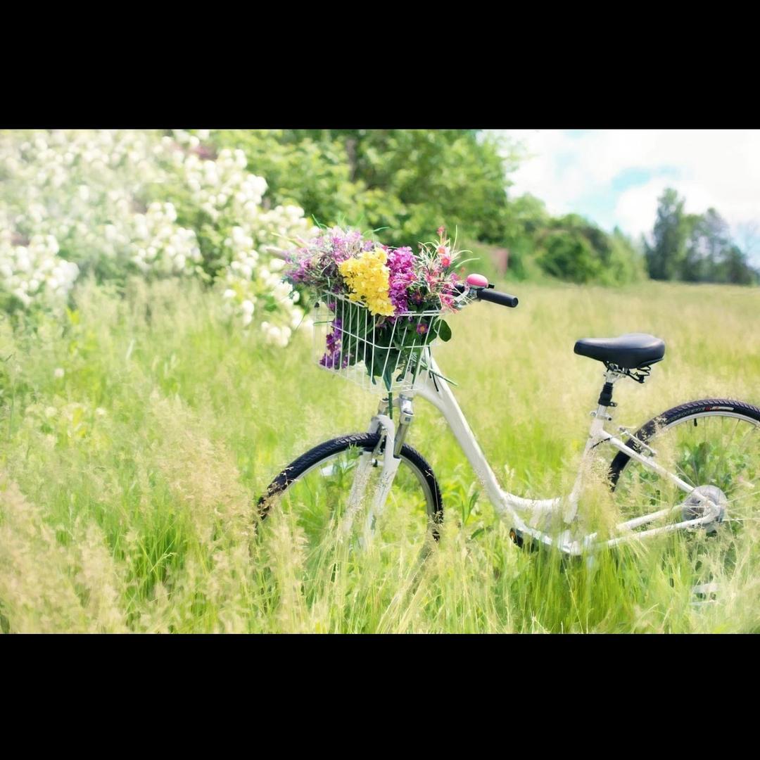 纳爱斯品质推荐官（宁波清清）