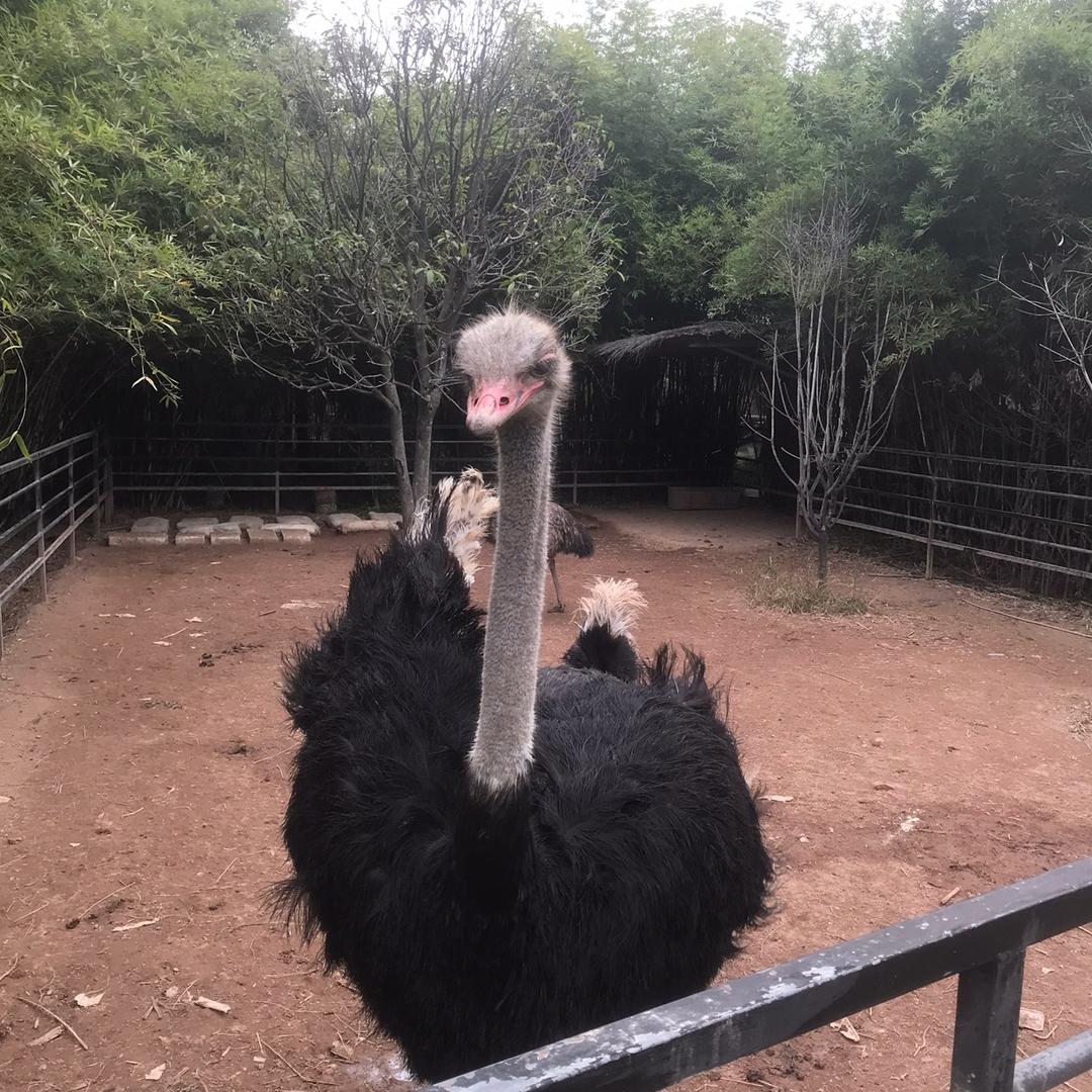 乡下得菜乡下卖