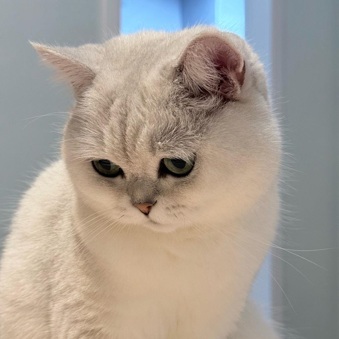 酒妹酒妹漂亮滴妹妹