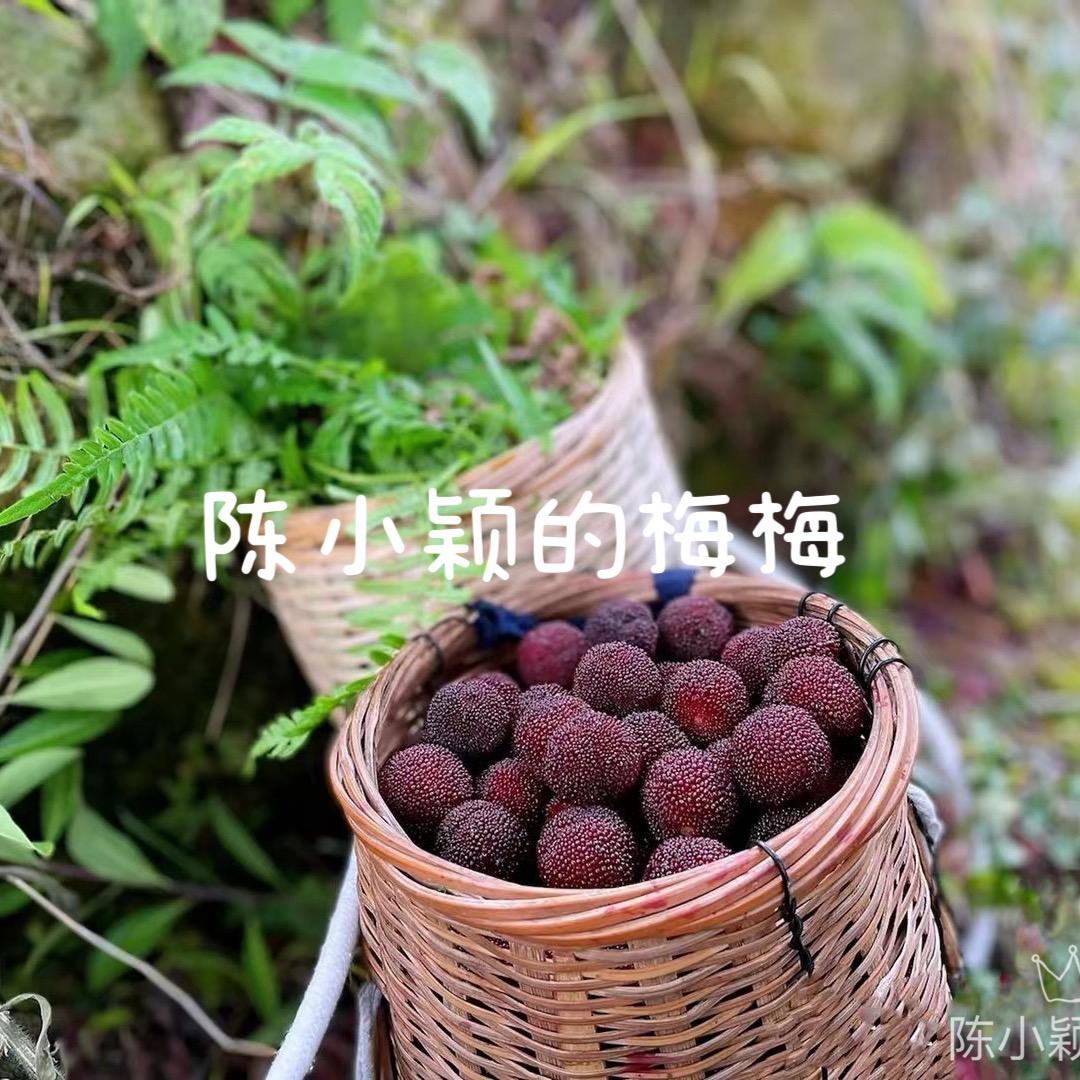 陈小颖的梅梅🔆