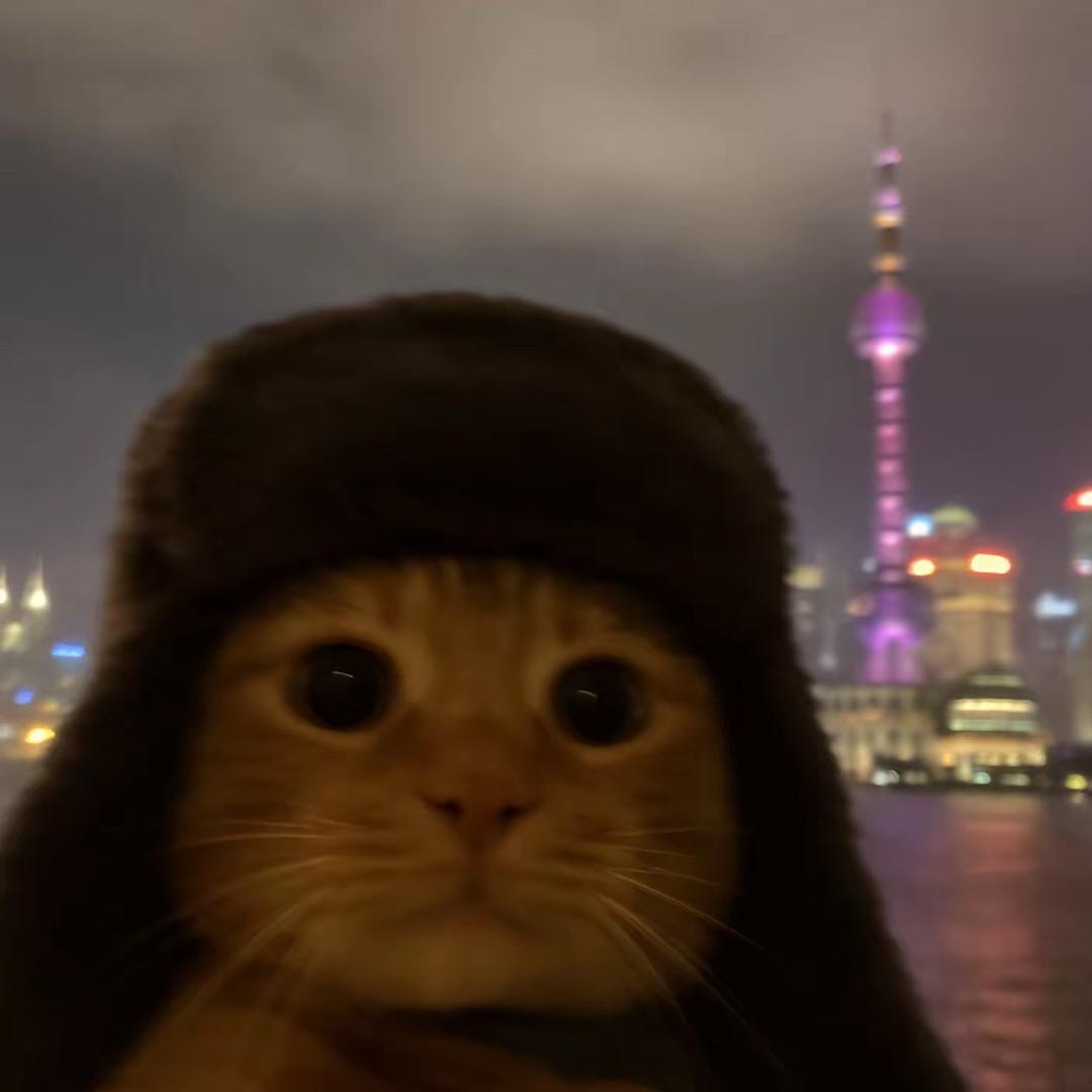 ༼多吉༽