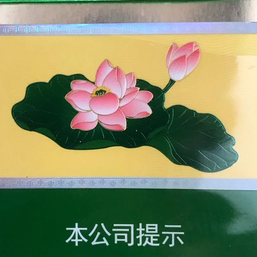 不念过往云烟