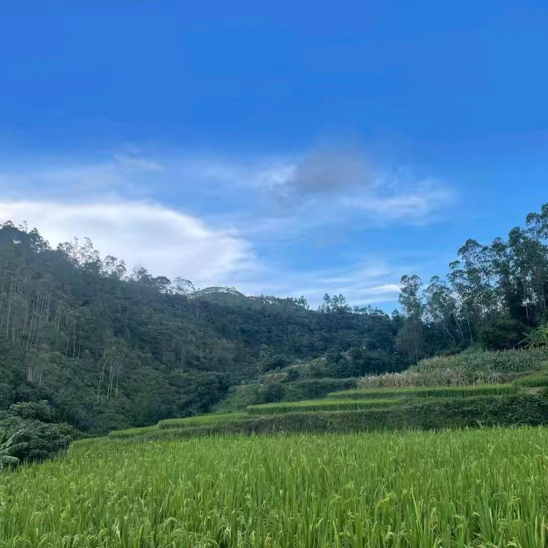 好高兴