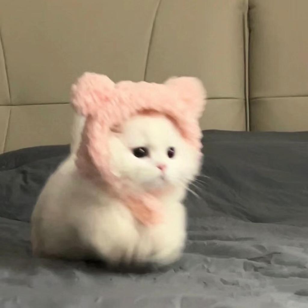 鹿鹿