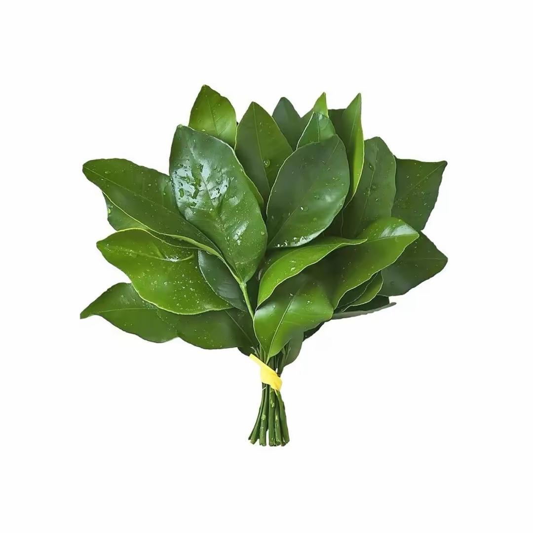 晚安