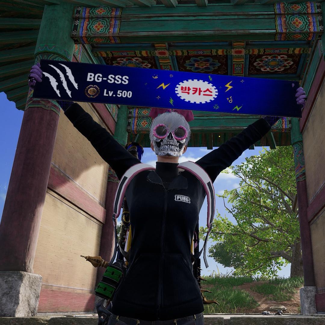 PUBG-SSS