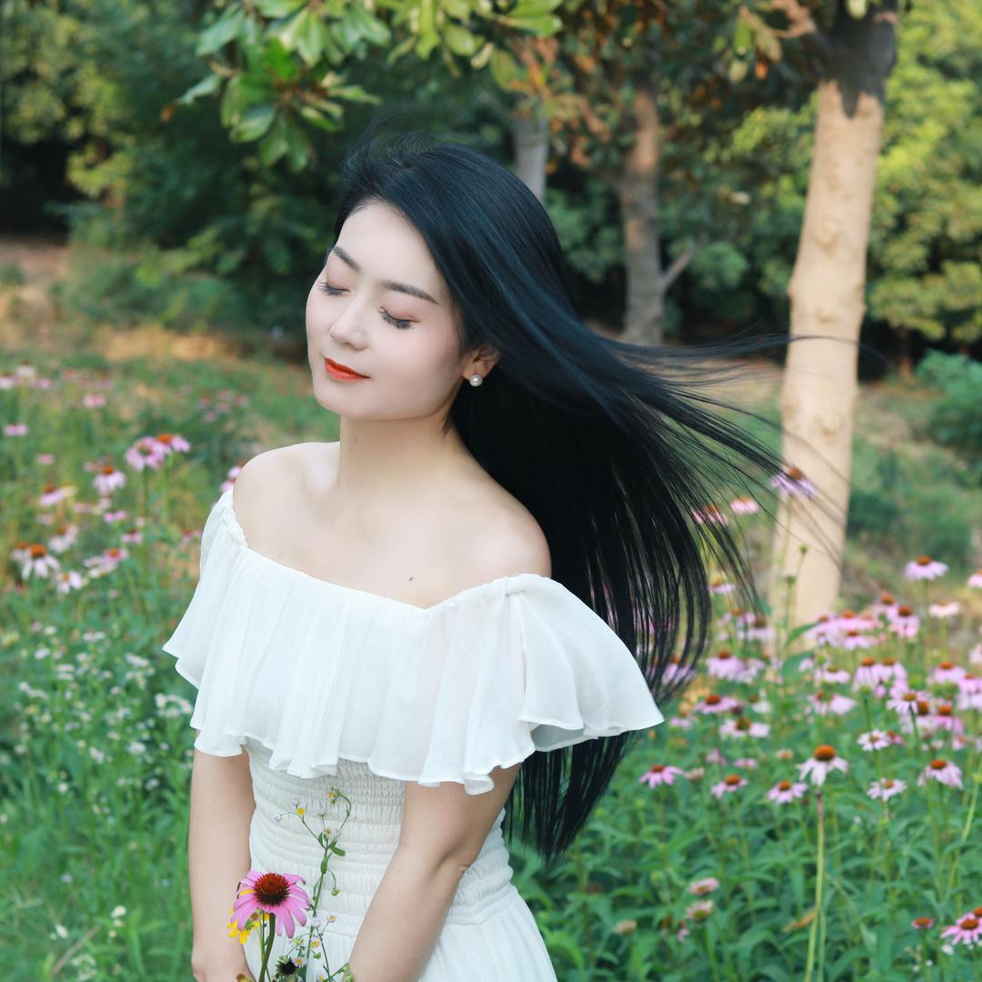 舞动倾城