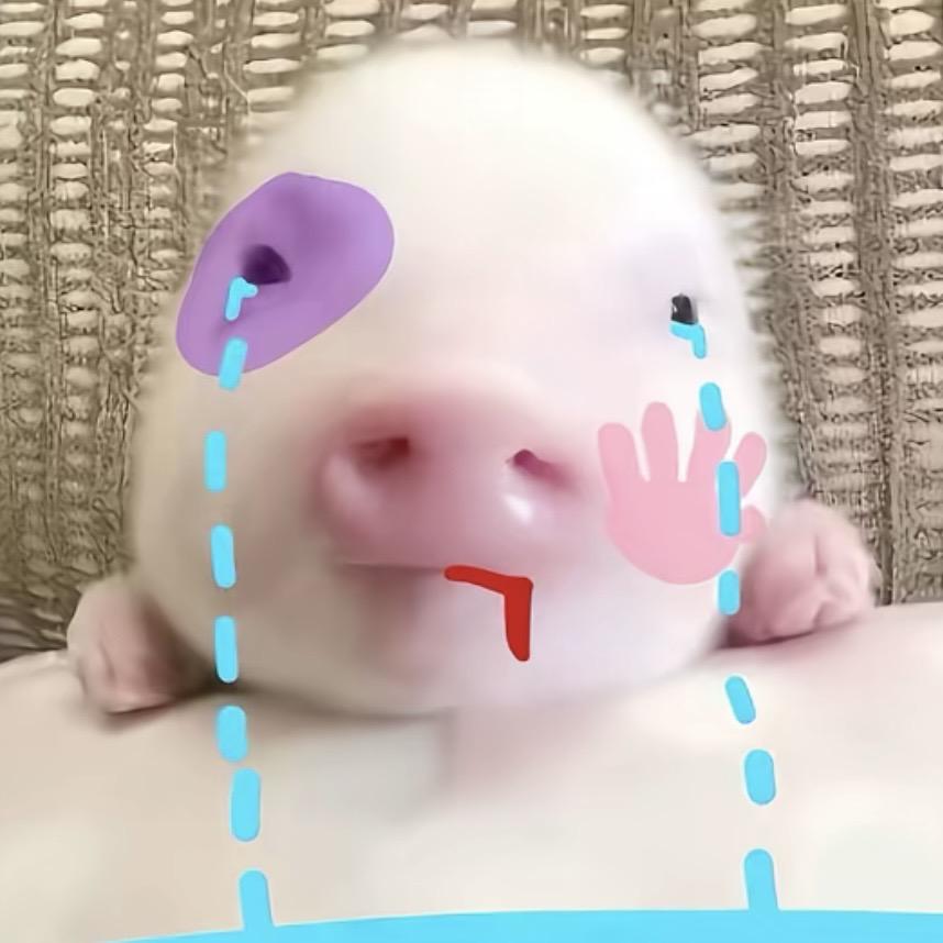 没甲也要起奥丁