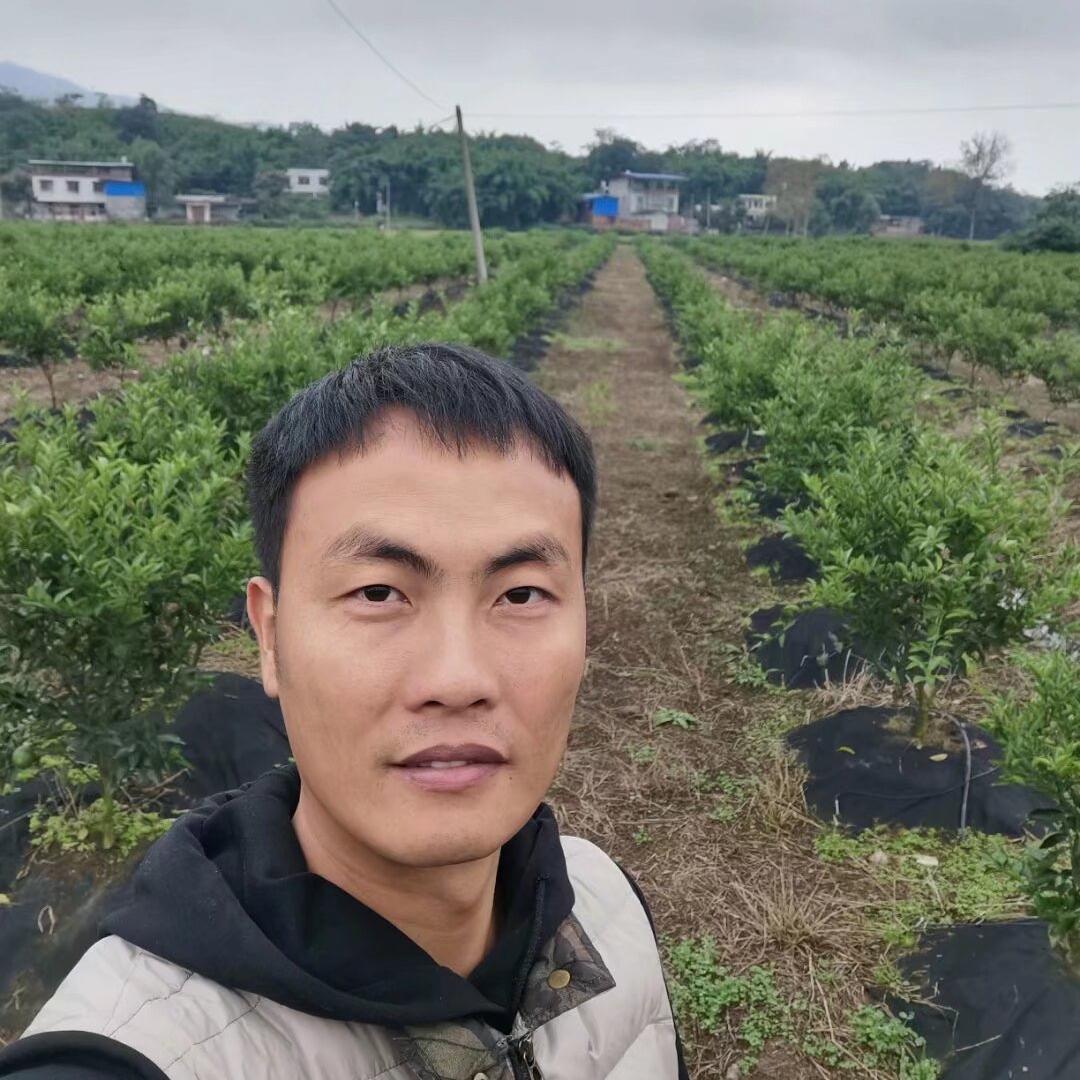 合一生鲜