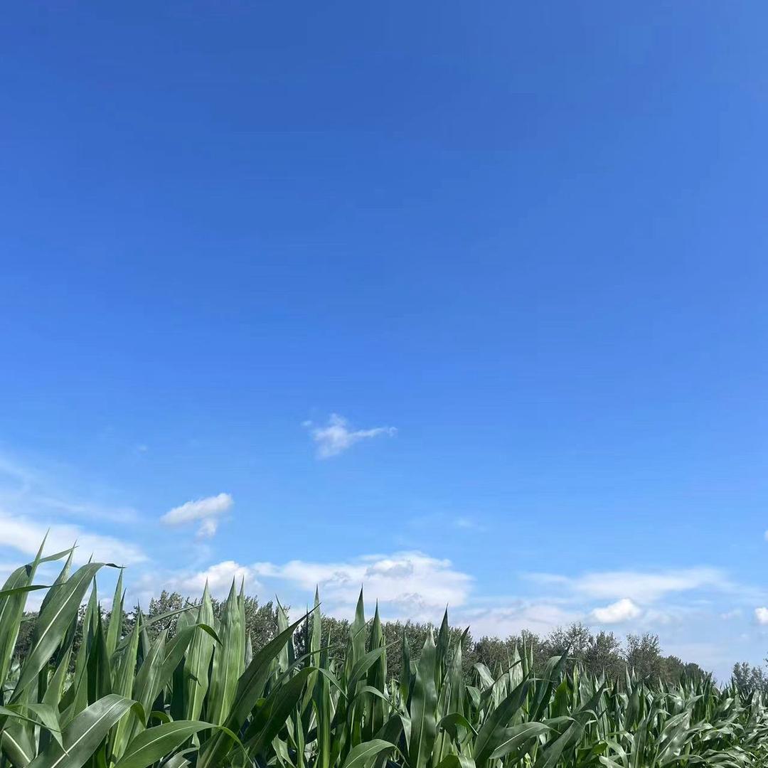 逗号逗点