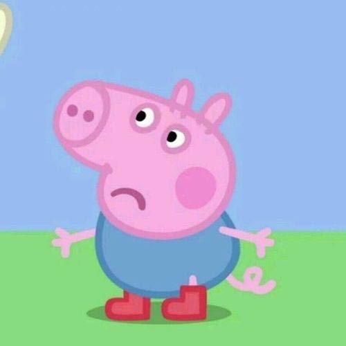 小鱼好物