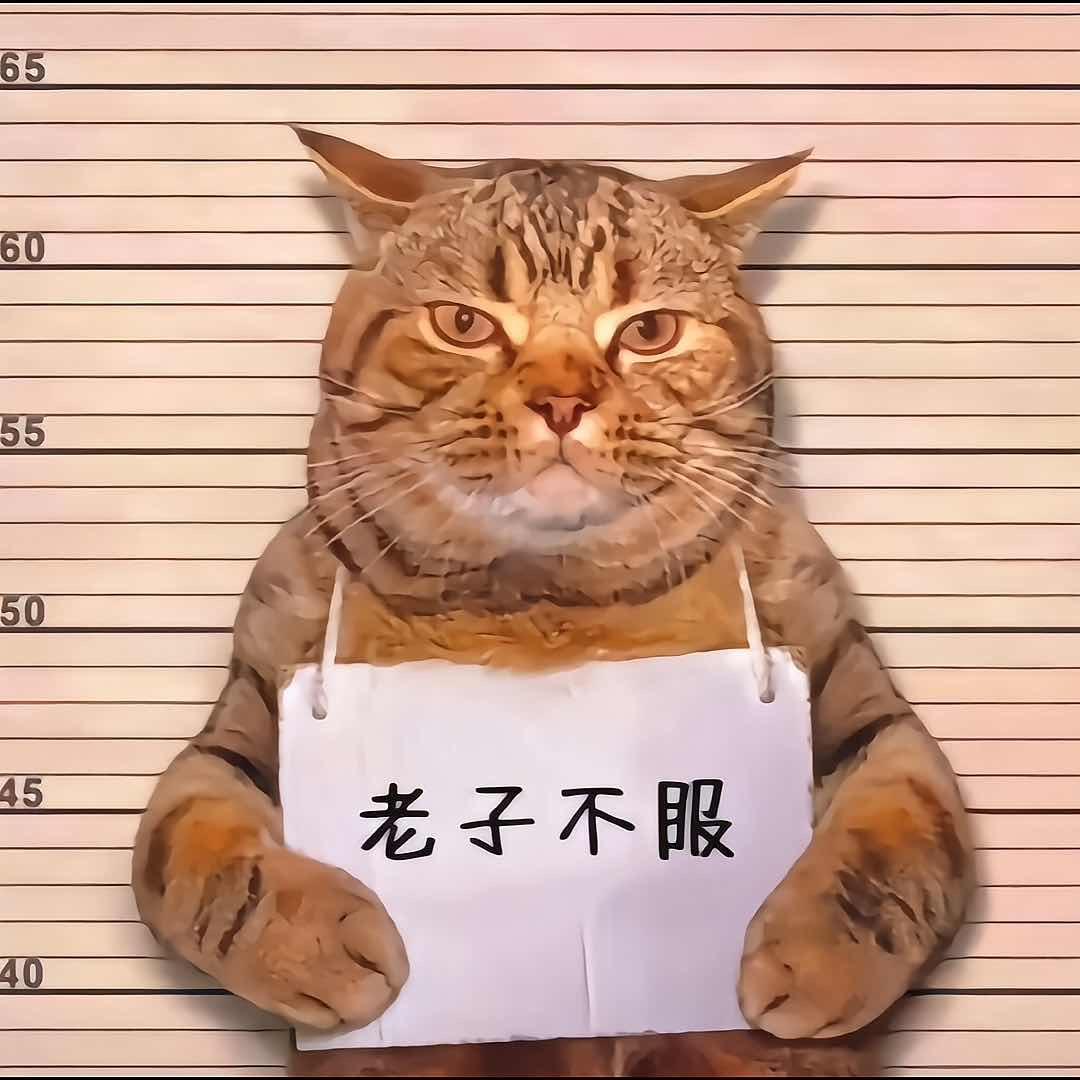 Wang'先森