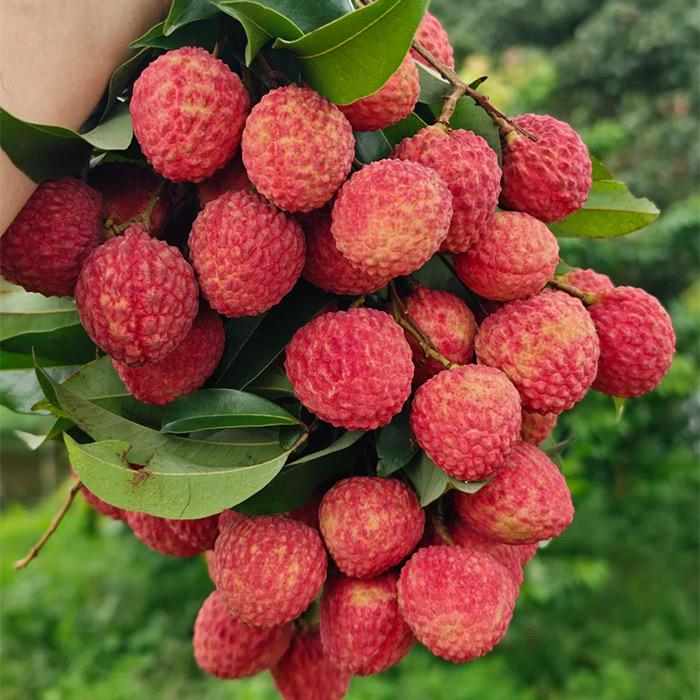 趣趣即时小食站