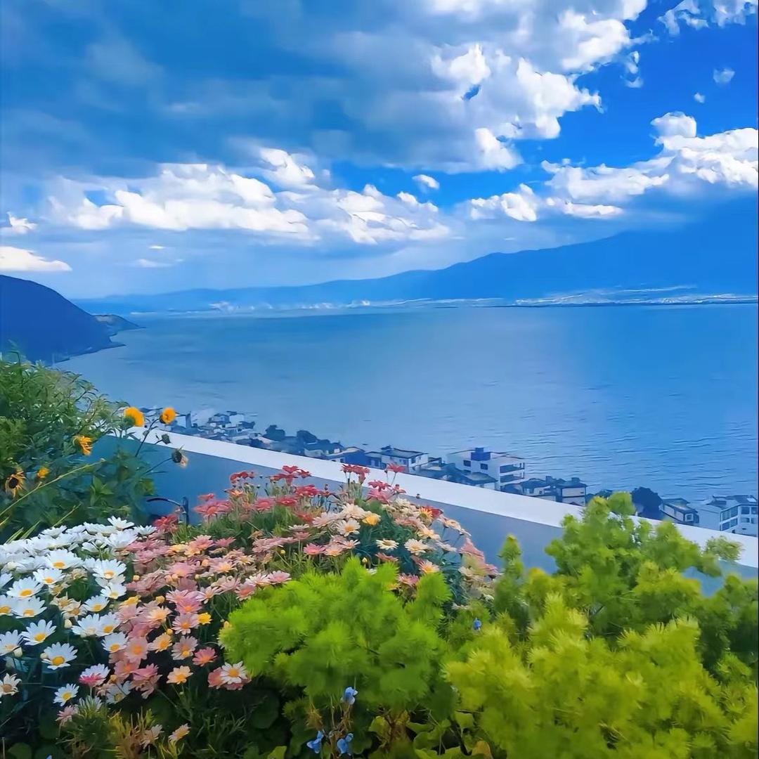 用户名85942204头像