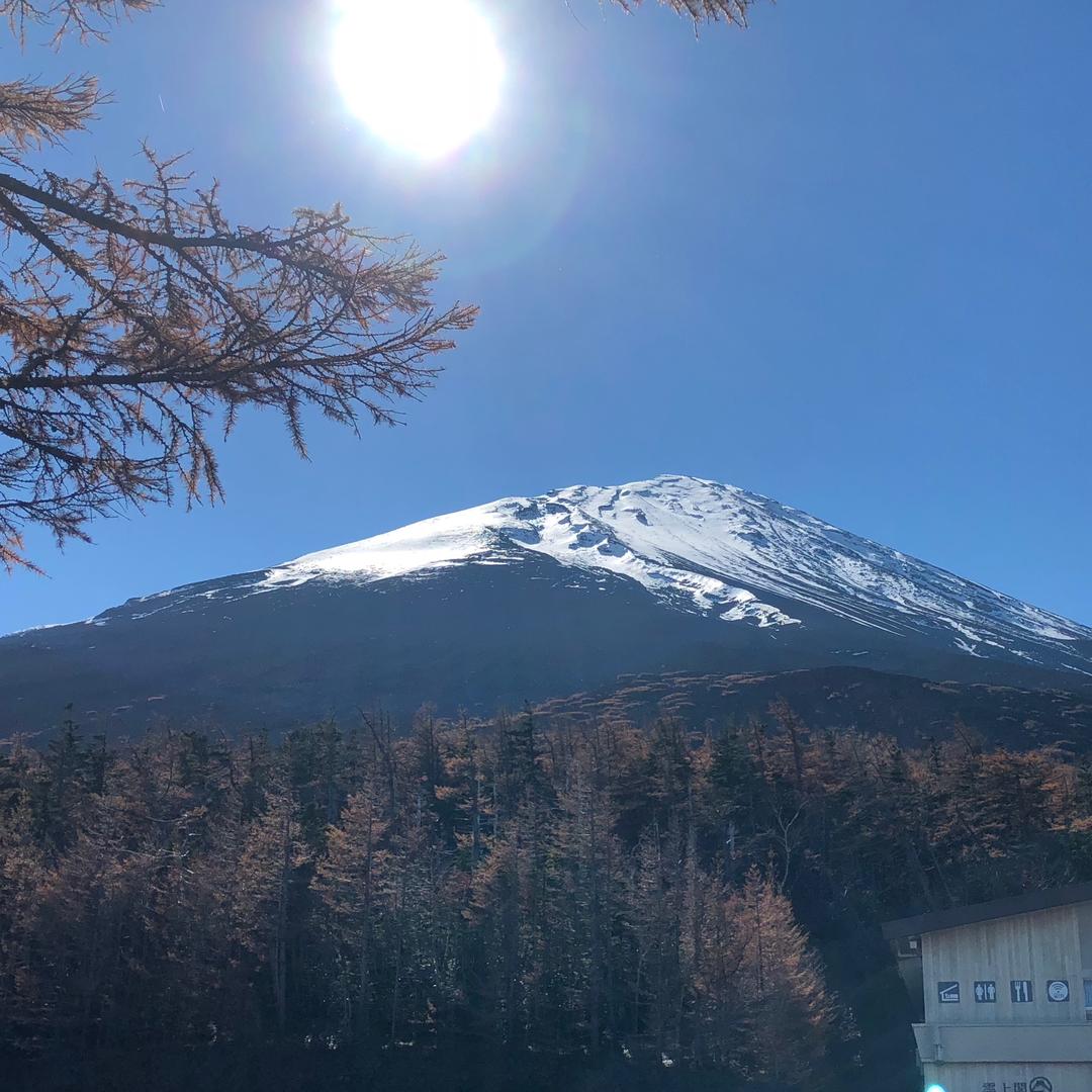 从心开始