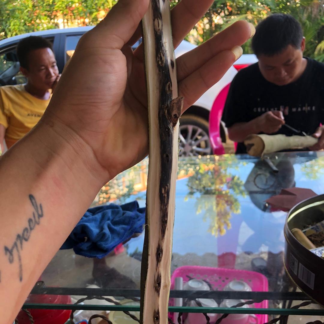 三农奇楠沉香苗圃