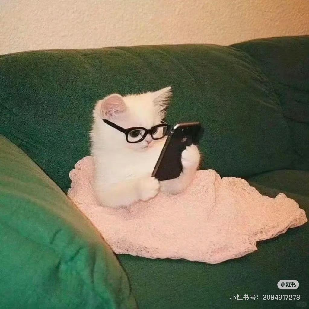 皮卡阿秋
