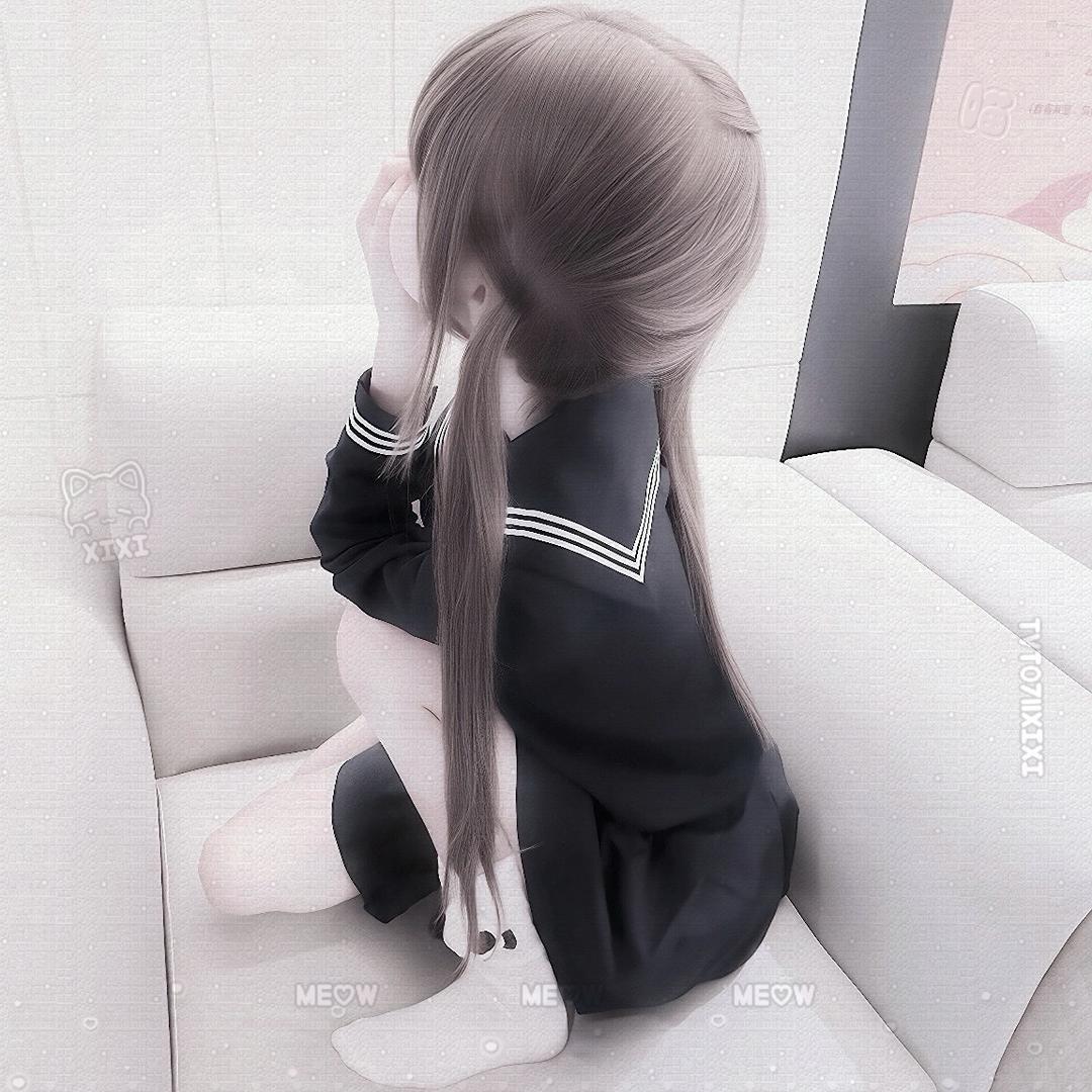 呆猪