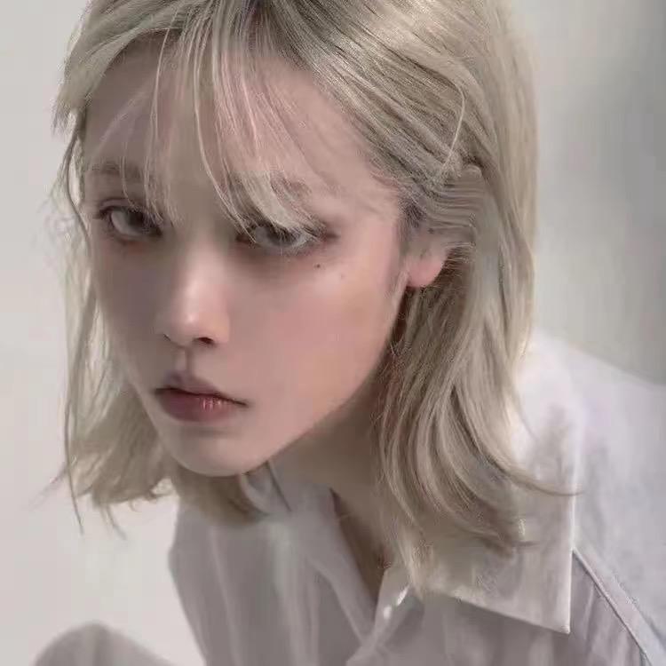 短腿猫
