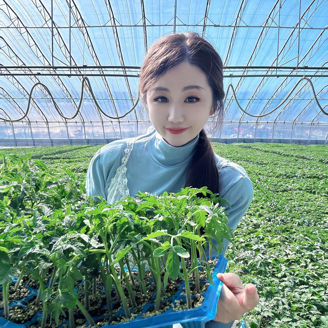 山东蔬菜种子种苗基地·李小妹儿🌶