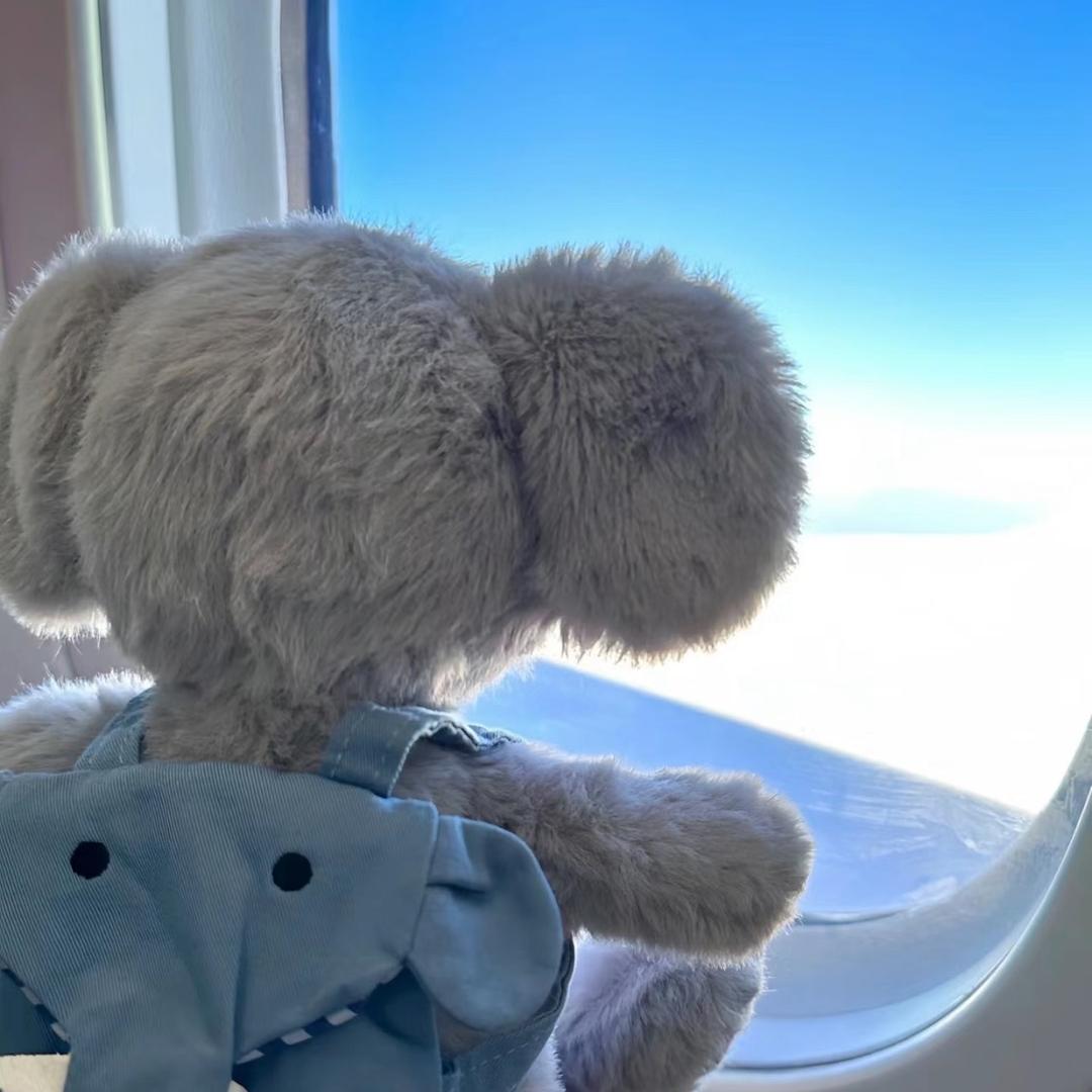 讨厌香菜爱湘菜