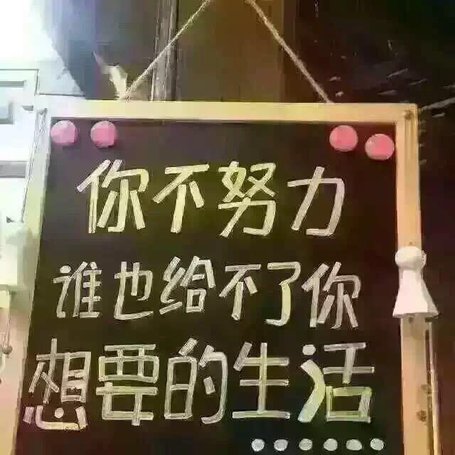 湖南邵阳活羊羊肉批发