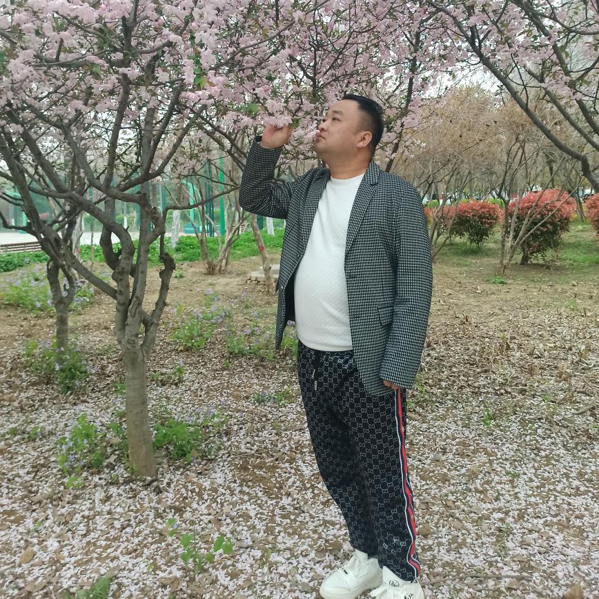 河南超哥