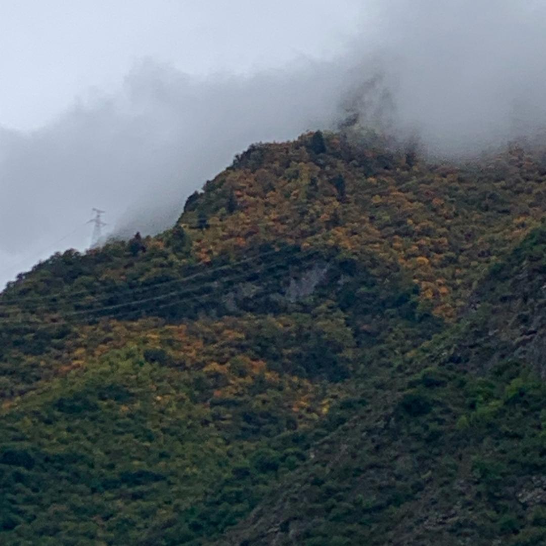 一环骚年隔壁老王