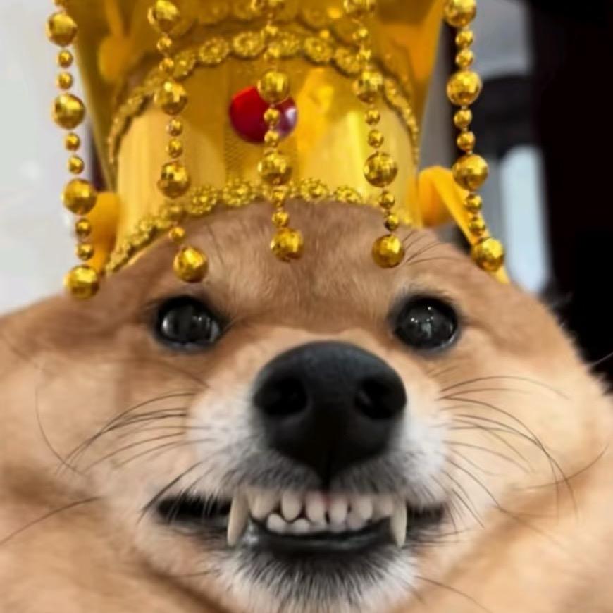 数学你个屌丝。