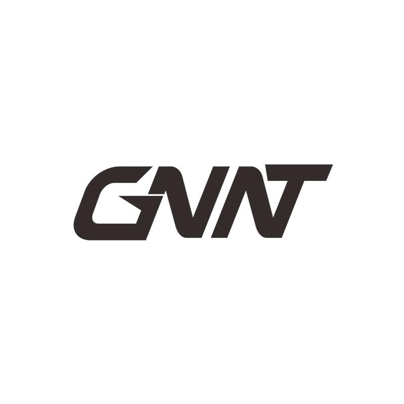 Geniunatic