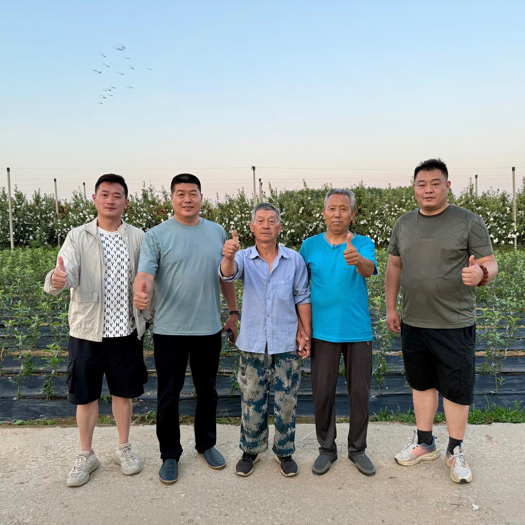 苹果老牛说