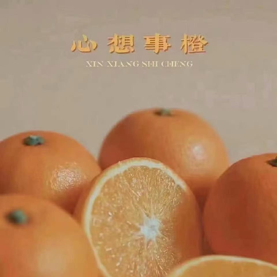 🍊🍊🍊🍊