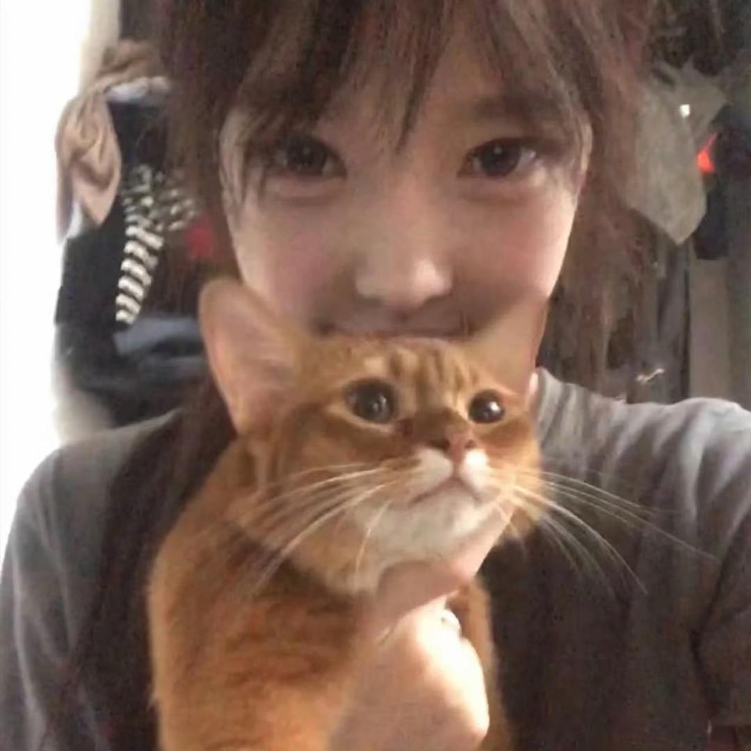 下次见ˣ