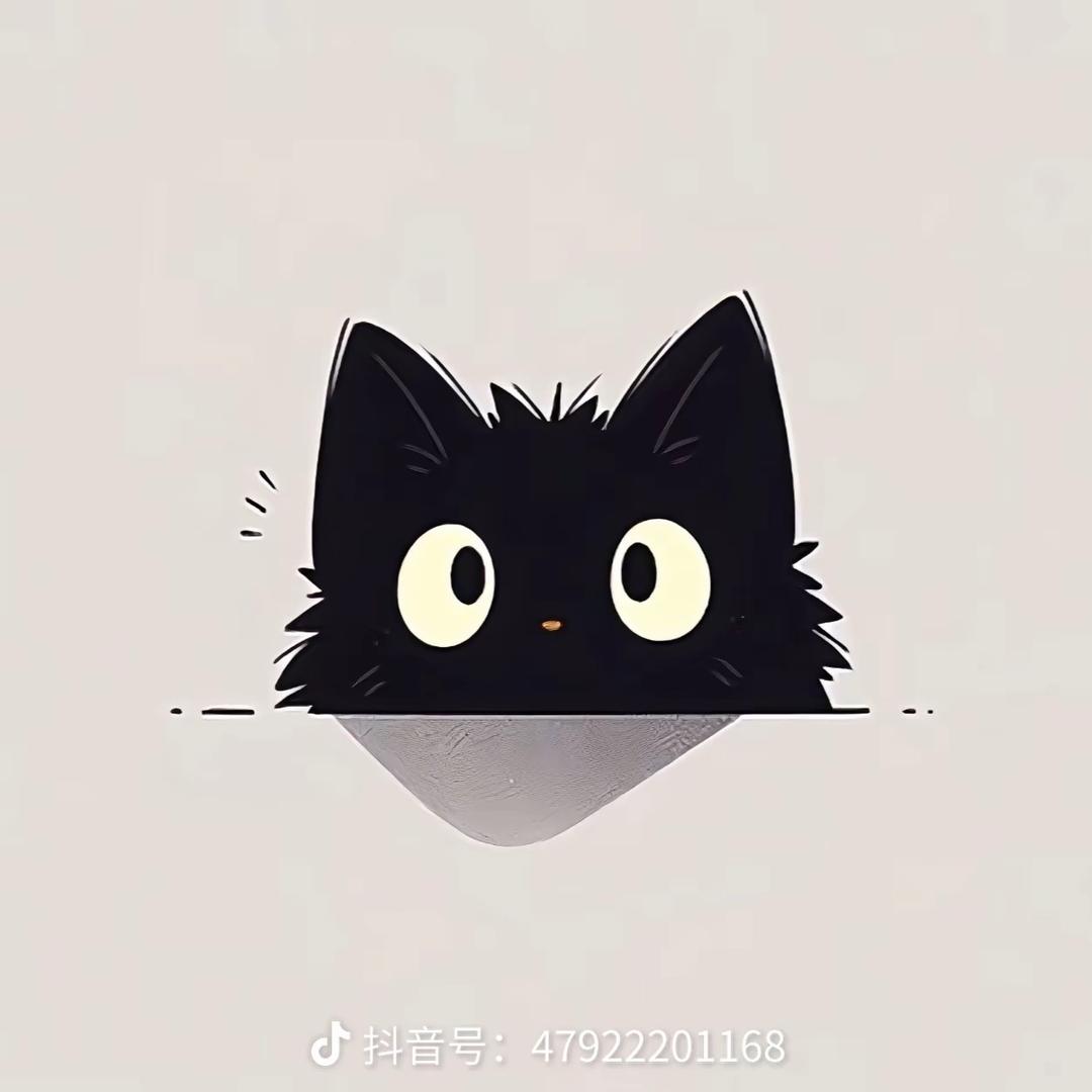 顺水舟可宝