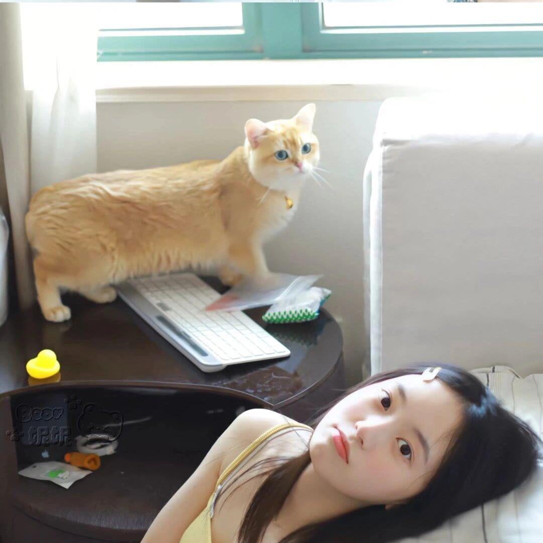 肥肥捞