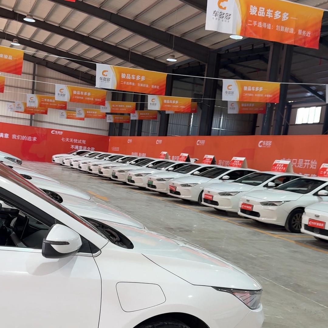 车多多安鑫新能源-琪琪