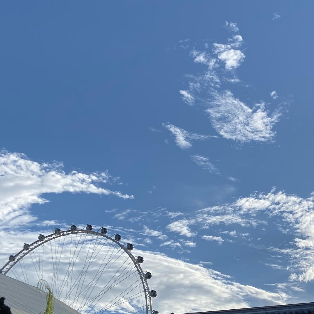 生普柠檬叶