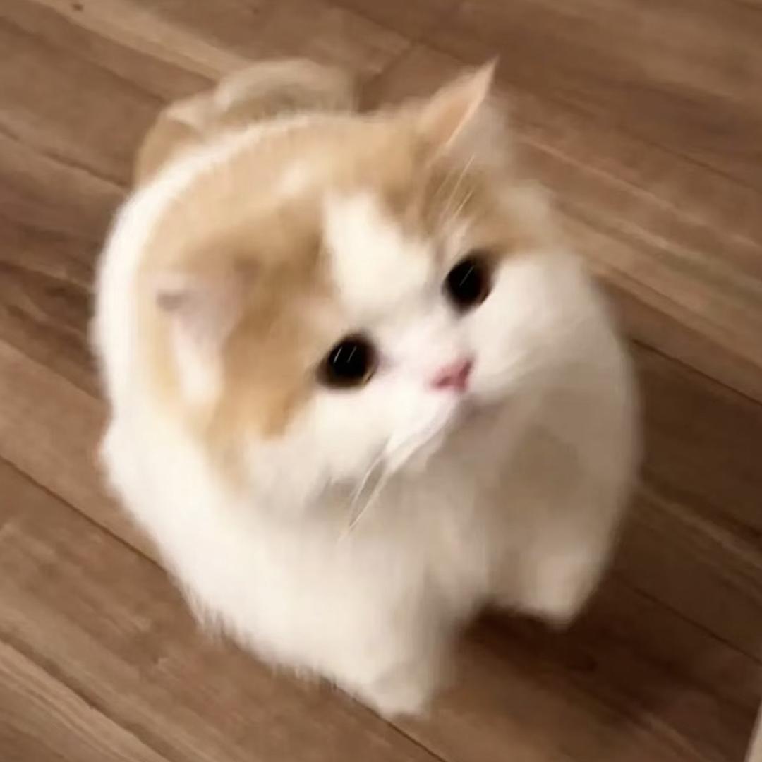 临刊