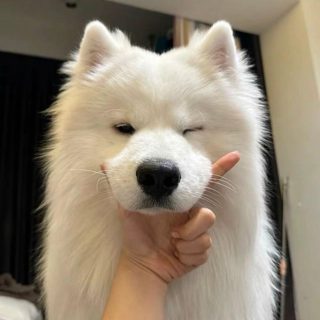 飘渺🚶‍♂️